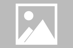  法兰克福新援首秀梅开二度抢镜  